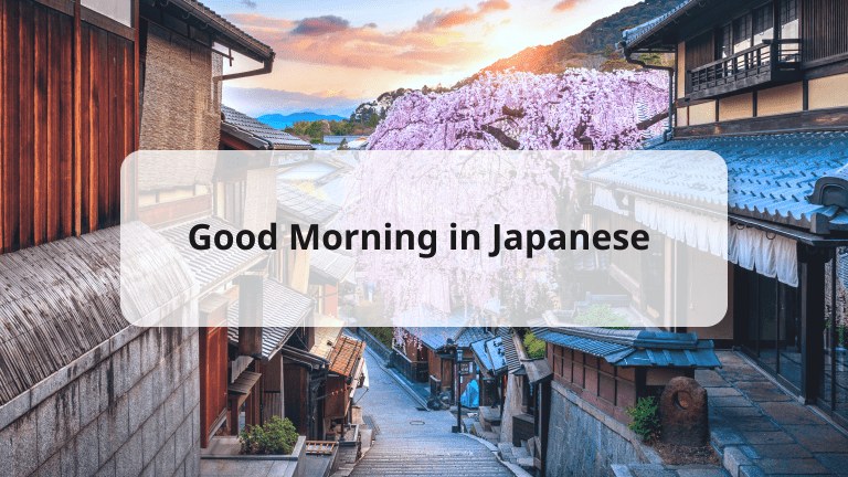 Your Friend in Japan: Learn about life in Japan