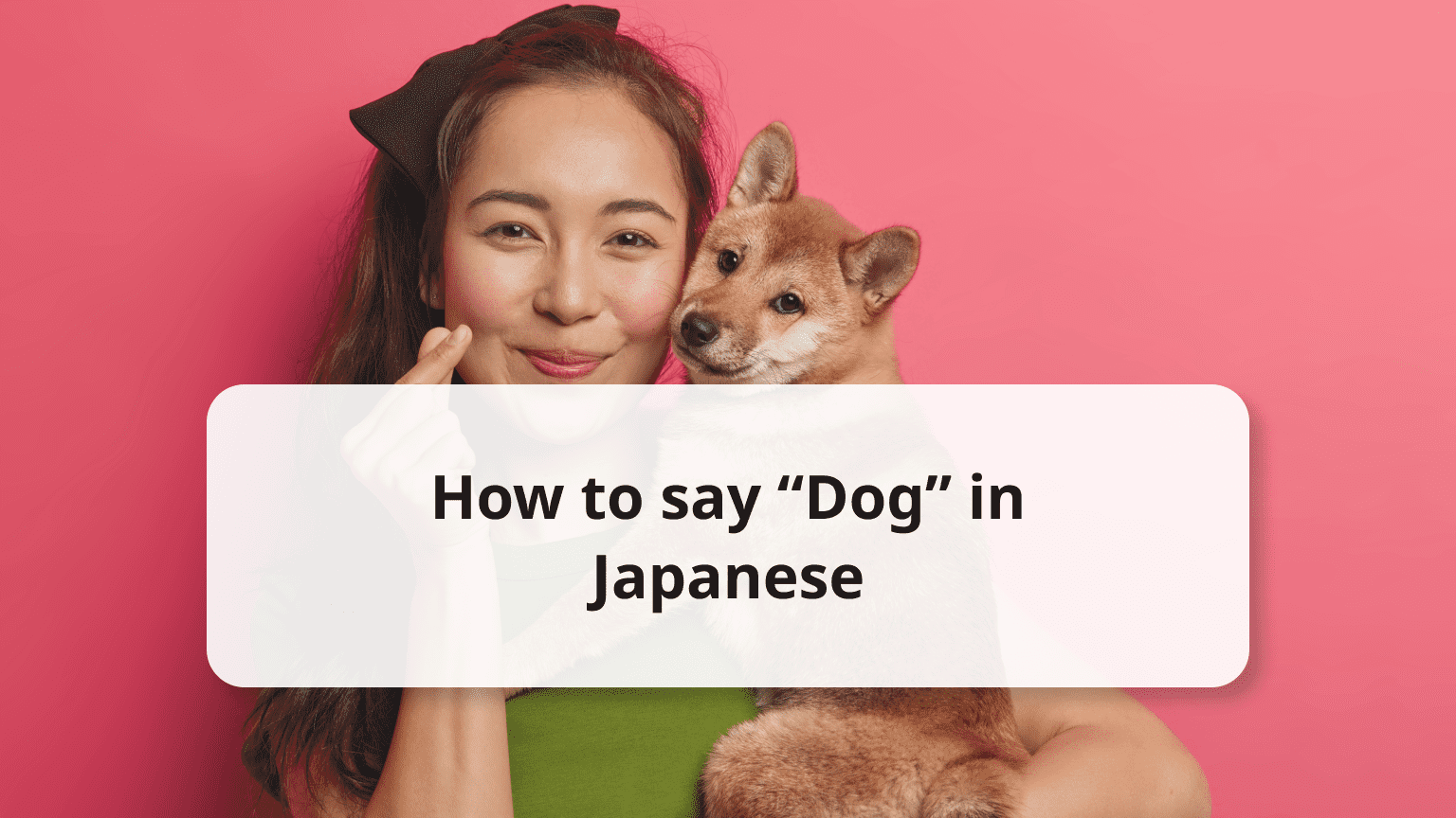 26 Ways to Say Dog in Japanese with Breed Names and Audio