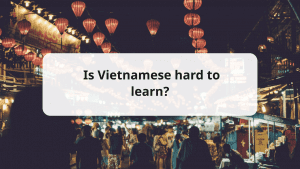 is vietnamese hard to learn