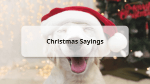 christmas sayings