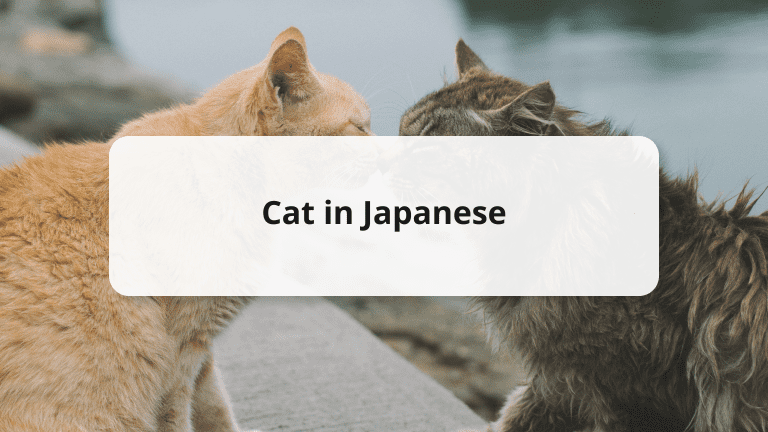 cat in japanese